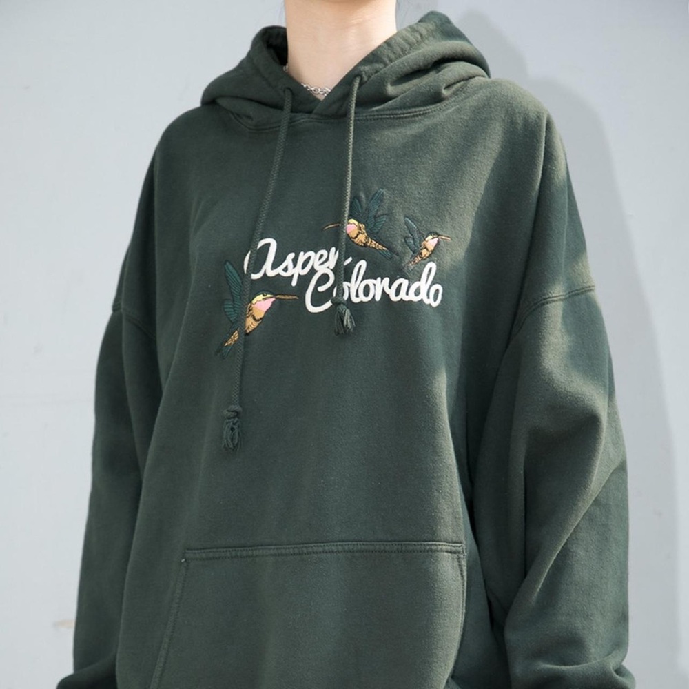 Brandy Melville Christy Hoodie